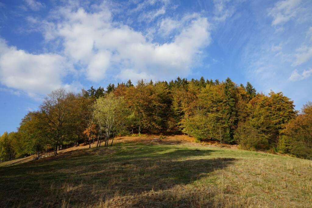 Ferienhaus Hellaberg Langenbach  Zewnętrze zdjęcie